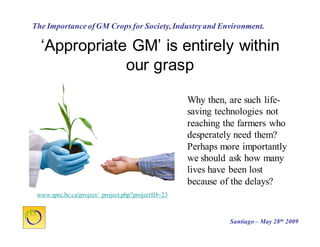 Cultivos Genéticamente Modificados