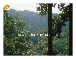 Cultivos Genéticamente Modificados