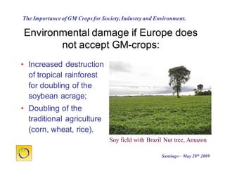 Cultivos Genéticamente Modificados