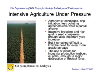 Cultivos Genéticamente Modificados