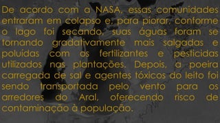 De acordo com a NASA, essas comunidades
entraram em colapso e, para piorar, conforme
o lago foi secando, suas águas foram se
tornando gradativamente mais salgadas e
poluídas com os fertilizantes e pesticidas
utilizados nas plantações. Depois, a poeira
carregada de sal e agentes tóxicos do leito foi
sendo transportada pelo vento para os
arredores do Aral, oferecendo risco de
contaminação à população.
 