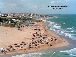 PLAYA FARO PUNTA MOGOTES 