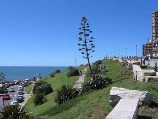 Mar del Plata