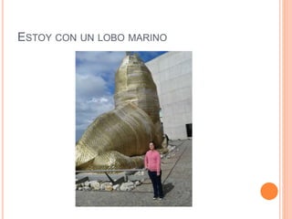 ESTOY CON UN LOBO MARINO