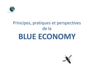 Principes, pratiques et perspectives
de la
BLUE ECONOMY
 