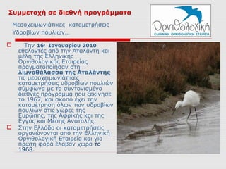 Συμμετοχή σε διεθνή προγράμματα
    Μεσοχειμωνιάτικες καταμετρήσεις
    Υδροβίων πουλιών…

       Την 16η Ιανουαρίου 2010
     εθελοντές από την Αταλάντη και
     μέλη της Ελληνικής
     Ορνιθολογικής Εταιρείας
     πραγματοποίησαν στη
     λιμνοθάλασσα της Αταλάντης
     τις μεσοχειμωνιάτικες
     καταμετρήσεις υδροβίων πουλιών
     σύμφωνα με το συντονισμένο
     διεθνές πρόγραμμα που ξεκίνησε
     το 1967, και σκοπό έχει την
     καταμέτρηση όλων των υδροβίων
     πουλιών στις χώρες της
     Ευρώπης, της Αφρικής και της
     Εγγύς και Μέσης Ανατολής.
    Στην Ελλάδα οι καταμετρήσεις
     οργανώνονται από την Ελληνική
     Ορνιθολογική Εταιρεία και για
     πρώτη φορά έλαβαν χώρα το
     1968.
 