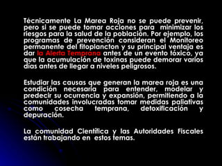 Técnicamente La Marea Roja no se puede prevenir, pero si se puede tomar acciones para  minimizar los riesgos para la salud de la población. Por ejemplo, los programas de  prevención consideran el Monitoreo permanente del fitoplancton y su principal ventaja es dar  la Alerta Temprana  antes de un evento tóxico, ya que la acumulación de toxinas puede demorar varios días antes de llegar a niveles peligrosos. Estudiar las causas que generan la marea roja es una condición necesaria para entender, modelar y predecir su ocurrencia y expansión, permitiendo a la comunidades involucradas tomar medidas paliativas como cosecha temprana, detoxificación y depuración.  La comunidad Científica y las Autoridades Fiscales están trabajando en  estos temas. 