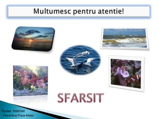 Sursa: Internet
Florentina Popa-Matei
 