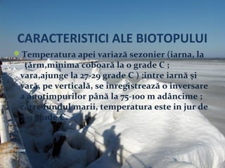 CARACTERISTICI ALE BIOTOPULUI
Temperatura apei variază sezonier (iarna, la
țărm,minima coboară la 0 grade C ;
vara,ajunge la 27-29 grade C ) ;intre iarnă și
vară, pe verticală, se inregistrează o inversare
a anotimpurilor până la 75-100 m adâncime ;
către fundul marii, temperatura este in jur de
7-9 grade C.
 