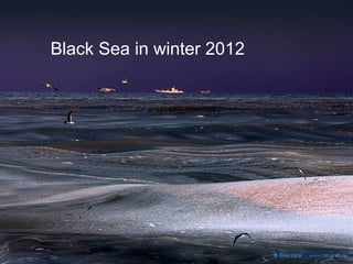 Black Sea in winter 2012
 