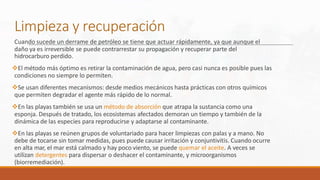 Limpieza y recuperación
Cuando sucede un derrame de petróleo se tiene que actuar rápidamente, ya que aunque el
daño ya es irreversible se puede contrarrestar su propagación y recuperar parte del
hidrocarburo perdido.
El método más óptimo es retirar la contaminación de agua, pero casi nunca es posible pues las
condiciones no siempre lo permiten.
Se usan diferentes mecanismos: desde medios mecánicos hasta prácticas con otros químicos
que permiten degradar el agente más rápido de lo normal.
En las playas también se usa un método de absorción que atrapa la sustancia como una
esponja. Después de tratado, los ecosistemas afectados demoran un tiempo y también de la
dinámica de las especies para reproducirse y adaptarse al contaminante.
En las playas se reúnen grupos de voluntariado para hacer limpiezas con palas y a mano. No
debe de tocarse sin tomar medidas, pues puede causar irritación y conjuntivitis. Cuando ocurre
en alta mar, el mar está calmado y hay poco viento, se puede quemar el aceite. A veces se
utilizan detergentes para dispersar o deshacer el contaminante, y microorganismos
(biorremediación).
 