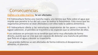 Consecuencias
Daños a la vida marina. Se ven afectados
El hidrocarburo forma una mancha negra, una lámina que flota sobre el agua que
impide que penetre la luz del sol y que se realice la fotosíntesis. Esto causa que los
organismos primarios se vean afectados y con ellos toda la cadena alimenticia.
El hidrocarburo afecta a las estructuras respiratorias de los peces y mueren. Si
logran sobrevivir, el petróleo se trasmitirá a las especies que se alimenten de ellos.
Los cetáceos en principio no se tendrían que verse muy afectados de forma
directa, puesto que se cree que son capaces de detectar una mancha de petróleo
que flota en el agua y desviar su trayectoria.
Las grandes ballenas se ven afectadas de forma indirecta al desaparecer su
alimento, el plancton.
 