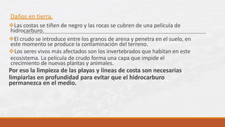 Daños en tierra.
Las costas se tiñen de negro y las rocas se cubren de una película de
hidrocarburo.
El crudo se introduce entre los granos de arena y penetra en el suelo, en
este momento se produce la contaminación del terreno.
Los seres vivos más afectados son los invertebrados que habitan en este
ecosistema. La película de crudo forma una capa que impide el
crecimiento de nuevas plantas y animales.
Por eso la limpieza de las playas y líneas de costa son necesarias
limpiarlas en profundidad para evitar que el hidrocarburo
permanezca en el medio.
 