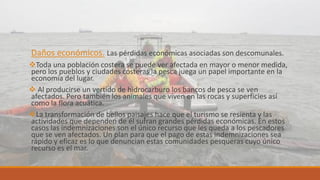 Daños económicos. Las pérdidas económicas asociadas son descomunales.
Toda una población costera se puede ver afectada en mayor o menor medida,
pero los pueblos y ciudades costeras la pesca juega un papel importante en la
economía del lugar.
 Al producirse un vertido de hidrocarburo los bancos de pesca se ven
afectados. Pero también los animales que viven en las rocas y superficies así
como la flora acuática.
La transformación de bellos paisajes hace que el turismo se resienta y las
actividades que dependen de él sufran grandes pérdidas económicas. En estos
casos las indemnizaciones son el único recurso que les queda a los pescadores
que se ven afectados. Un plan para que el pago de estas indemnizaciones sea
rápido y eficaz es lo que denuncian estas comunidades pesqueras cuyo único
recurso es el mar.
 