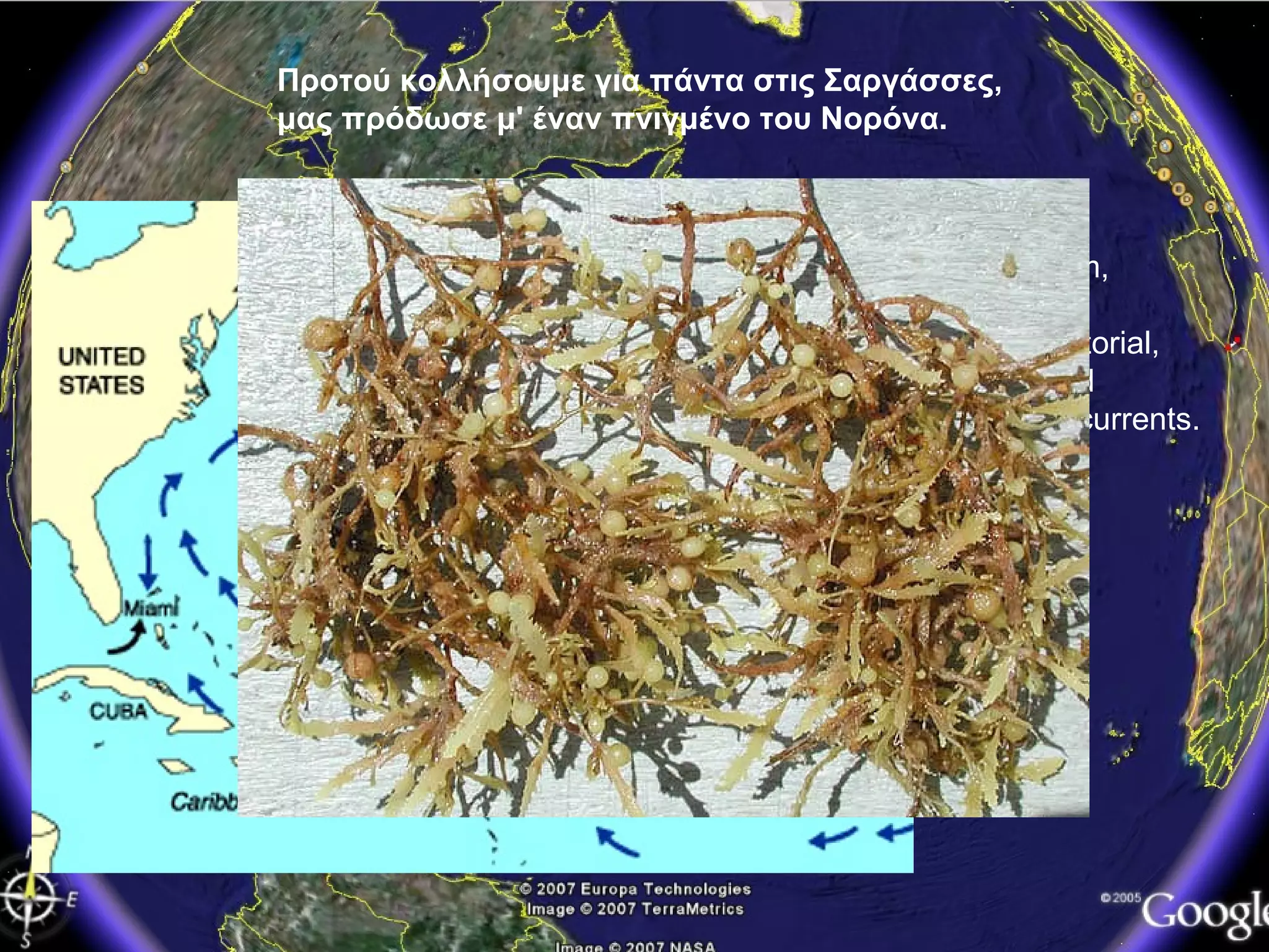 Προτού κολλήσουμε για πάντα στις Σαργάσσες,   μας πρόδωσε μ' έναν πνιγμένο του Νορόνα. The Florida, Gulf Stream,  Canary,  North Equatorial,  Antilles, and  Caribbean currents.  