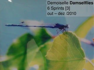    
Demoiselle Damselflies
6 Sprints [3]
out – dez /2010
 