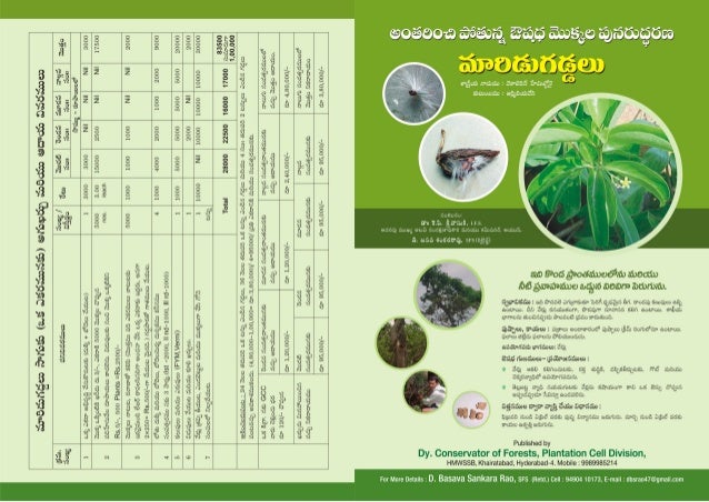 Maredugaddalu telugu Brochure Cultivation Economics Decalepis Hamil 