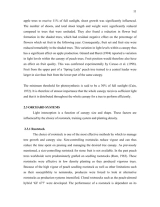 11
apple trees to receive 11% of full sunlight, shoot growth was significantly influenced.
The number of shoots, and total shoot length and weight were significantly reduced
compared to trees that were unshaded. They also found a reduction in flower bud
formation in the shaded trees, which had residual negative effect on the percentage of
flowers which set fruit in the following year. Consequently, fruit set and fruit size were
reduced remarkably in the shaded trees. This variation in light levels within a canopy thus
has a significant effect on apple production. Génard and Baret (1994) reported a variation
in light levels within the canopy of peach trees. Fruit position would therefore also have
an effect on fruit quality. This was confirmed experimentally by Caruso et al. (1998).
Fruit from the upper part of a ‘Spring Lady’ peach tree trained to a central leader were
larger in size than fruit from the lower part of the same canopy.
The minimum threshold for photosynthesis is said to be a 30% of full sunlight (Cain,
1972). It is therefore of utmost importance that the whole canopy receives sufficient light
and that it is distributed throughout the whole canopy for a tree to perform efficiently.
2.3 ORCHARD SYSTEMS
Light interception is a function of canopy size and shape. These factors are
influenced by the choice of rootstock, training system and planting density.
2.3.1 Rootstock
The choice of rootstock is one of the most effective methods by which to manage
tree growth and canopy size. Size-controlling rootstocks reduce vigour and can thus
reduce the time spent on pruning and managing the desired tree canopy. As previously
mentioned, a size-controlling rootstock for stone fruit is not available. In the past peach
trees worldwide were predominately grafted on seedling rootstocks (Rom, 1983). These
rootstocks were effective in low density planting as they produced vigorous trees.
Because of the high vigour of peach seedling rootstock as well as other limitations such
as their susceptibility to nematodes, producers were forced to look at alternative
rootstocks as production systems intensified. Clonal rootstocks such as the peach-almond
hybrid ‘GF 677’ were developed. The performance of a rootstock is dependent on its
 