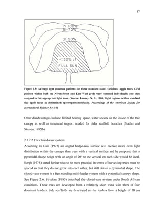 17
Figure 2.5: Average light zonation patterns for three standard sized ‘Delicious’ apple trees. Grid
position within both the North-South and East-West grids were summed individually and then
assigned to the appropriate light zone. (Source: Looney, N. E., 1968. Light regimes within standard
size apple trees as determined spectrophotometrically. Proceedings of the American Society for
Horticultural Science, 93:1-6)
Other disadvantages include limited bearing space, water shoots on the inside of the tree
canopy as well as structural support needed for older scaffold branches (Stadler and
Stassen, 1985b).
2.3.2.2 The closed-vase system
According to Cain (1972) an angled hedge-row surface will receive more even light
distribution within the canopy than trees with a vertical surface and he proposed that a
pyramidal-shape hedge with an angle of 20º to the vertical on each side would be ideal.
Bergh (1974) stated further that to be more practical in terms of harvesting trees must be
spaced so that they do not grow into each other, but still obtain a pyramidal shape. The
closed-vase system is a free standing multi-leader system with a pyramidal canopy shape.
See Figure 2.6. Strydom (1985) described the closed-vase system under South African
conditions. These trees are developed from a relatively short trunk with three of four
dominant leaders. Side scaffolds are developed on the leaders from a height of 50 cm
 