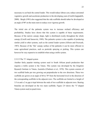 23
necessary to cut back the central leader. This would reduce labour cost, reduce unwanted
vegetative growth and accelerate production in the developing years (Corelli-Gappadelli,
2000). Bergh (1981) also suggested that the side scaffolds should rather be developed at
an angle of 90º on the main stem to reduce over-vigorous growth.
The initial aim of the palmette system was to increase orchard efficiency and
profitability. Studies have shown that this system is capable of these requirements.
Because of the narrow canopy shape, light is distributed evenly throughout the whole
canopy (Corelli and Sansavini, 1989). The palmette system is also capable of producing
similar yield to other systems, such as the central leader system (Allison and Overcash,
1987). Because of the ‘flat’ canopy surface of the palmette it can be more efficient in
some agricultural practices, such as pesticide spraying or picking. This system can
however be very expensive to establish when using a trellis system.
2.3.2.5 The ‘Y’-shaped system
Another fairly popular training system used in South African peach production that
requires a trellis system is the Tatura. This system was developed by the Irrigation
Research Institute in Tatura, Australia (Chalmers et al., 1978). This system consists of
two scaffold limbs per tree growing out perpendicular to the row directions. These two
scaffolds are grown at an angle of 60 to 70º from the horizontal level in the direction of
the corresponding scaffolds in the adjacent rows. The scaffolds are limited to a height of
3.5 m and a 2 m gap is kept between the ends of two scaffolds in adjacent rows. Bearing
branches are developed on the two main scaffolds. Figure 2.9 shows the ‘Y’-shaped
Tatura system used on peach trees.
 