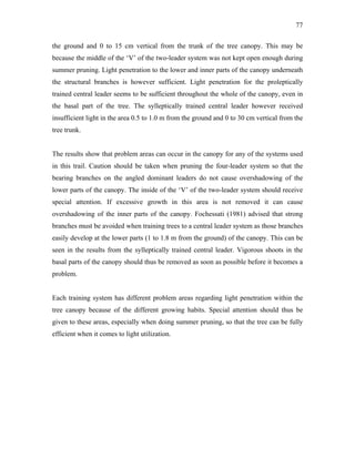 77
the ground and 0 to 15 cm vertical from the trunk of the tree canopy. This may be
because the middle of the ‘V’ of the two-leader system was not kept open enough during
summer pruning. Light penetration to the lower and inner parts of the canopy underneath
the structural branches is however sufficient. Light penetration for the proleptically
trained central leader seems to be sufficient throughout the whole of the canopy, even in
the basal part of the tree. The sylleptically trained central leader however received
insufficient light in the area 0.5 to 1.0 m from the ground and 0 to 30 cm vertical from the
tree trunk.
The results show that problem areas can occur in the canopy for any of the systems used
in this trail. Caution should be taken when pruning the four-leader system so that the
bearing branches on the angled dominant leaders do not cause overshadowing of the
lower parts of the canopy. The inside of the ‘V’ of the two-leader system should receive
special attention. If excessive growth in this area is not removed it can cause
overshadowing of the inner parts of the canopy. Fochessati (1981) advised that strong
branches must be avoided when training trees to a central leader system as those branches
easily develop at the lower parts (1 to 1.8 m from the ground) of the canopy. This can be
seen in the results from the sylleptically trained central leader. Vigorous shoots in the
basal parts of the canopy should thus be removed as soon as possible before it becomes a
problem.
Each training system has different problem areas regarding light penetration within the
tree canopy because of the different growing habits. Special attention should thus be
given to these areas, especially when doing summer pruning, so that the tree can be fully
efficient when it comes to light utilization.
 