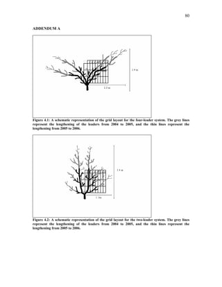 80
ADDENDUM A
Figure 4.1: A schematic representation of the grid layout for the four-leader system. The grey lines
represent the lengthening of the leaders from 2004 to 2005, and the thin lines represent the
lengthening from 2005 to 2006.
Figure 4.2: A schematic representation of the grid layout for the two-leader system. The grey lines
represent the lengthening of the leaders from 2004 to 2005, and the thin lines represent the
lengthening from 2005 to 2006.
 
