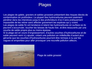 Plages Les plages de galets, graviers et sables grossiers présentent des risques élevés de contamination en profondeur. La plupart des hydrocarbures peuvent aisément pénétrer dans les interstices jusqu’à des profondeurs d’où il sera pratiquement impossible de les retirer sans affecter gravement les espèces qui y vivent. Les plages de sable fin ont tendance à retenir les hydrocarbures en surface où ils peuvent s’accumuler, toucher les laisses de haute mer, et être recouverts par une couche de sable propre plus ou moins épaisse.  Si la plage est en cours d’engraissement, d’autres couches d’hydrocarbures et de sable peuvent venir s’y ajouter, créant une pollution en millefeuille d’autant plus gênante que les couches d’hydrocarbures pourront être remises à nu par les vagues et emportées pour aller provoquer une nouvelle pollution ailleurs. Plage de sable grossier 
