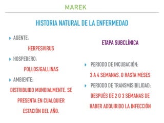 Marek | PDF