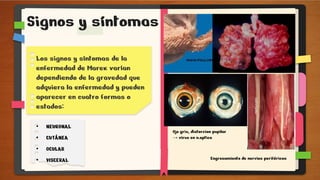 Los signos y síntomas de la
enfermedad de Marek varían
dependiendo de la gravedad que
adquiera la enfermedad y pueden
aparecer en cuatro formas o
estados:
Signos y síntomas
• NEURONAL
• CUTÁNEA
• OCULAR
• VISCERAL
Ojo gris, distorcion pupilar
→ virus en n.optico
Engrosamiento de nervios periféricos
 