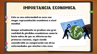 IMPORTANCIA ECONOMICA
Esta es una enfermedad en aves con
mayor representación económica a nivel
mundial.
Aunque actualmente no produce una gran
cantidad de pérdidas económicas como lo
hacía antes de que se obtuvieran las
primeras vacunas, sigue siendo
considerable en comparación con otras
enfermedades que afectan a las aves.
 