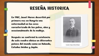 RESEÑA HISTORICA
En 1907, Josef Marek describió por
primera vez en Hungría una
enfermedad en las aves
caracterizada de las patas, alas y
ocasionalmente de la molleja.
Después se confirmó la existencia
de este cuadro clínico en diferentes
países del mundo como en Holanda,
Estados Unidos y Japón.
 