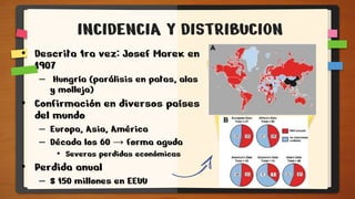 INCIDENCIA Y DISTRIBUCION
• Descrita 1ra vez: Josef Marek en
1907
– Hungría (parálisis en patas, alas
y molleja)
• Confirmación en diversos países
del mundo
– Europa, Asia, América
– Década los 60 → forma aguda
• Severas perdidas económicas
• Perdida anual
– $ 150 millones en EEUU
 