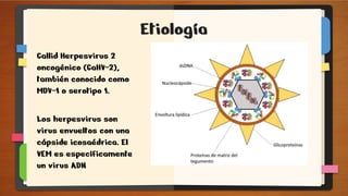 Etiología
Gallid Herpesvirus 2
oncogénico (GaHV-2),
también conocido como
MDV-1 o serotipo 1.
Los herpesvirus son
virus envueltos con una
cápside icosaédrica. El
VEM es específicamente
un virus ADN
 