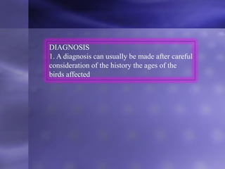 DIAGNOSIS
1. A diagnosis can usually be made after careful
consideration of the history the ages of the
birds affected
 