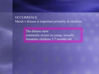 OCCURRENCE
Marek’s disease is important primarily in chickens
The disease most
commonly occurs in young, sexually
immature chickens 2-7 months old
 