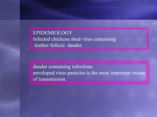 EPIDEMIOLOGY
Infected chickens shed virus containing
feather follicle dander
dander containing infectious
enveloped virus particles is the most important means
of transmission.
 