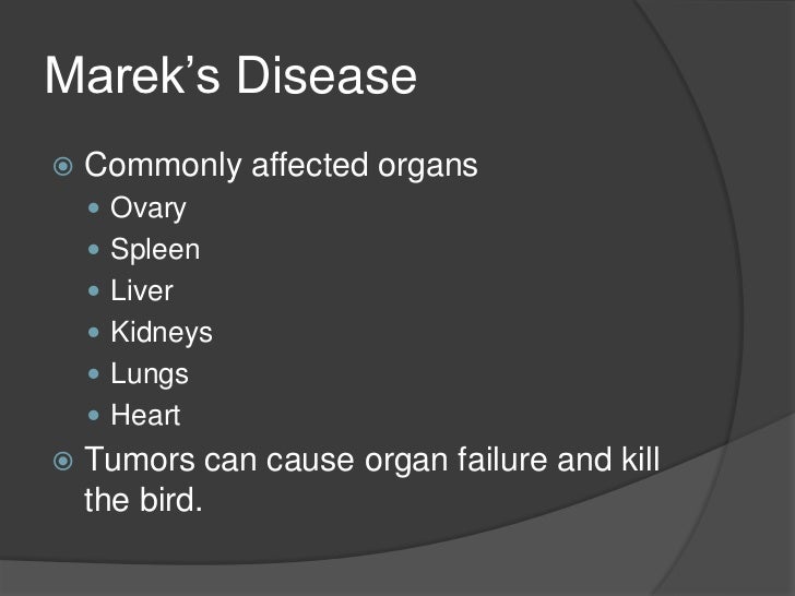 Marek’s disease