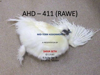 AHD – 411 (RAWE)
MID-TERM ASSIGNMENT
A PRESENTATION BY
SHIVA SETH
ID 13141
B.Sc Ag Part IV
Enroll no. 360084
 
