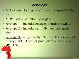 Aetiology
• MD – caused by Herpes Virus – enveloped, dsDNA
virus.
• MDV – classified into 3 serotypes –
• Serotype 1 – includes oncogenic strains of MDV.
• Serotype 2 – includes naturally non pathogenic
strains.
• Serotype 3 – antigenically related to herpes virus of
turkey (HVT) . Used for production of vaccine k/a
HVT 126.

 