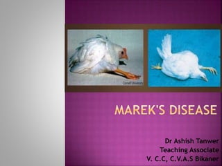 Dr Ashish Tanwer
Teaching Associate
V. C.C, C.V.A.S Bikaner
 