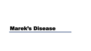 Marek’s Disease
 