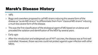 › 1965
› Biggs and coworkers proposed to call MD strains inducing this severe form of the
disease as “acute MD strains” to...