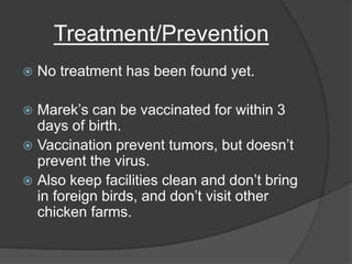 Treatment/Prevention
 No treatment has been found yet.
 Marek’s can be vaccinated for within 3
days of birth.
 Vaccination prevent tumors, but doesn’t
prevent the virus.
 Also keep facilities clean and don’t bring
in foreign birds, and don’t visit other
chicken farms.
 
