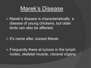 Marek’s Disease
 Marek’s disease is characteristically a
disease of young chickens, but older
birds can also be affected.
 It’s name after Jozsed Marek.
 Frequently there at tumors in the lymph
nodes, skeletal muscle, visceral organs.
 
