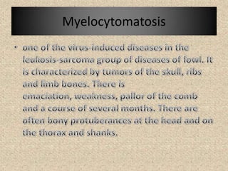 Myelocytomatosis
 