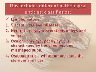 Marek’s disease pp