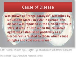Cause   Disease
 