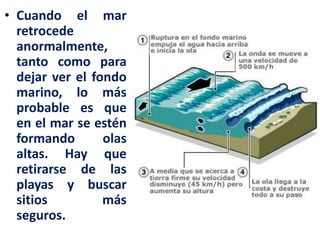 • Cuando el mar
retrocede
anormalmente,
tanto como para
dejar ver el fondo
marino, lo más
probable es que
en el mar se estén
formando olas
altas. Hay que
retirarse de las
playas y buscar
sitios más
seguros.
 