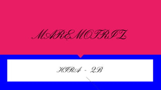 MAREMOTRIZ
HIRA - 2B
 