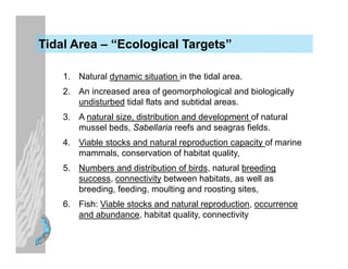Tidal Area – “Ecological Targets”

    1. Natural dynamic situation in the tidal area.
    2. An increased area of geomorp...